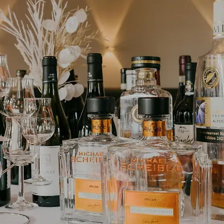 巴蒂康士坦茨酒店 4* 于伯林根