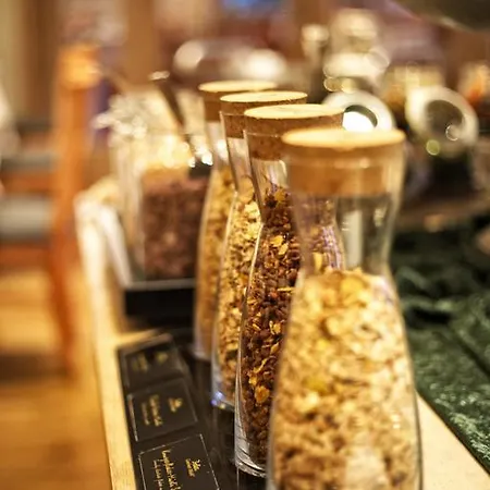 巴蒂康士坦茨酒店 于伯林根